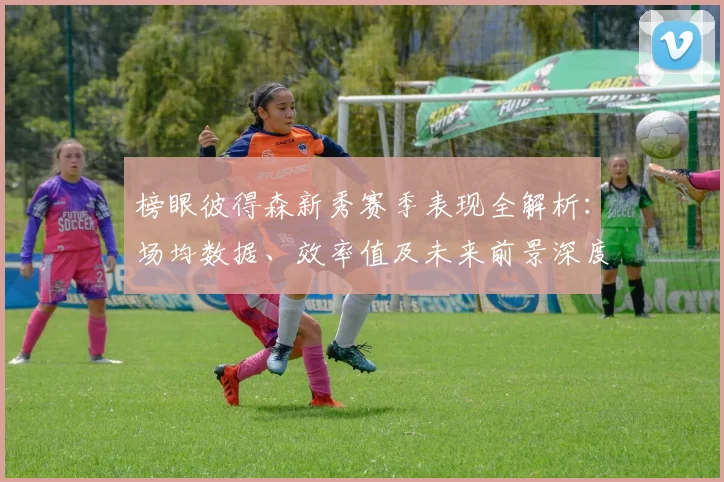 榜眼彼得森新秀赛季表现全解析：场均数据、效率值及未来前景深度评估