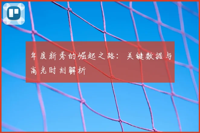 年度新秀的崛起之路:关键数据与高光时刻解析